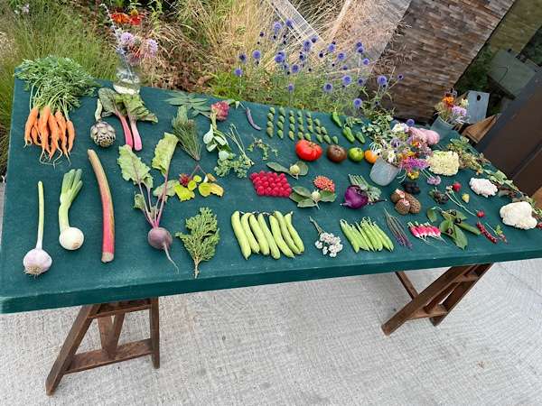 Table with a lot of veggies