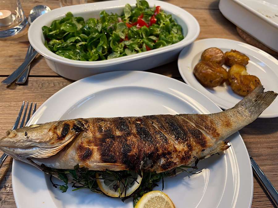 Grilled fish on a plate